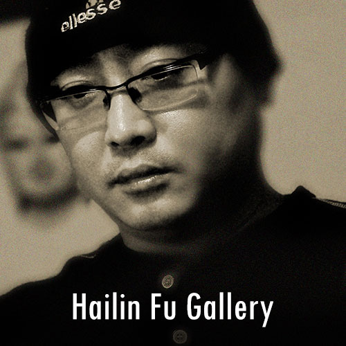 Hailin Fu Gallery